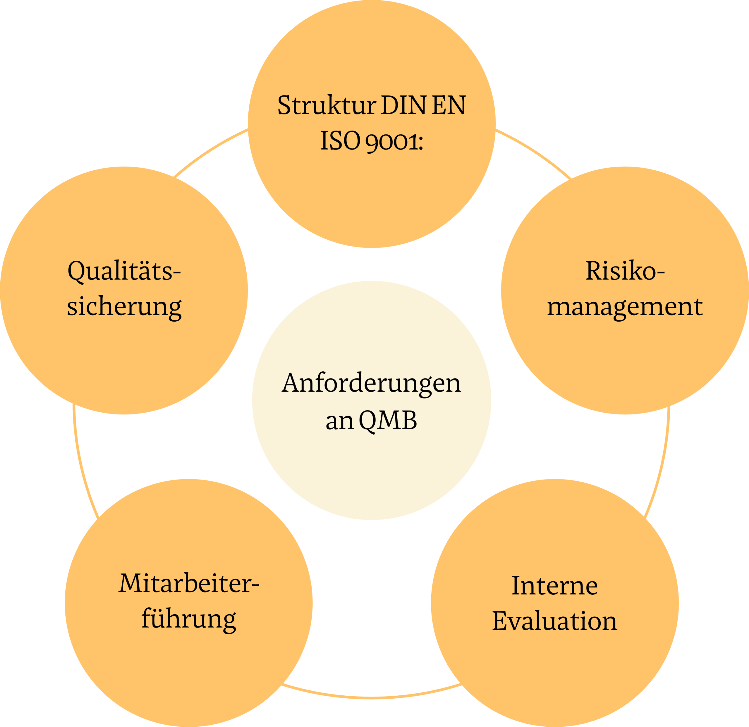 Infografik zu den Anforderungen an Qualit&auml;tsmanagementbeauftragte in der Pflege. Die f&uuml;nf Kernbereiche sind: Struktur DIN EN ISO 9001, Risikomanagement, Interne Evaluation, Mitarbeiterf&uuml;hrung und Qualit&auml;tssicherung.